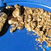 Salmon River placer gold - flakes, fines & nuggets
