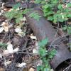 The old stove pipe that heated the cabin at the Captain Smith Mine in L-6.
