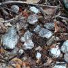 Another magnificent pile of white quartz at the Deer Lodge Mine. This quartz probably came from underground operations at the mine.