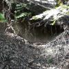 A caved in tunnel at the Wilson Mine. This mine site has many shafts, adits, and tunnels, many of which are not caved in.