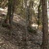 The entire hillside below a portion of the Wilson Mine and the Roberts Mine was a massive dump of processed ore.