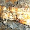 This quartz vein, approximately 3" thick,.is deep inside one of the tunnels at the Wilson Mine. 