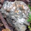 Another hunk of quartz found on the surface at the Osceola Mine. This is most likely a piece of the vein the miners were chasing.