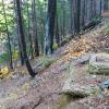 Jumbo Mine - Old foundation - Rd 40N61 below. 2 mines, tailings dump & an old rd. are located just north & east of this foundation.